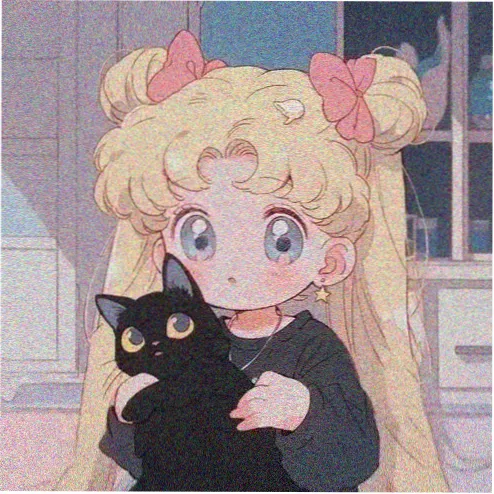 用户